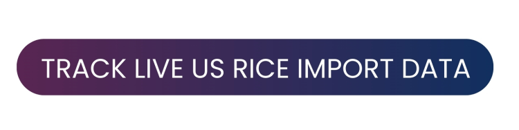 search live us rice import data