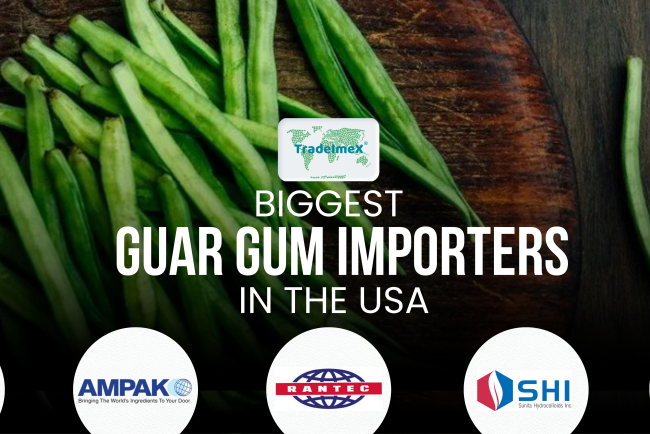 Biggest Guar Gum Importers in the USA