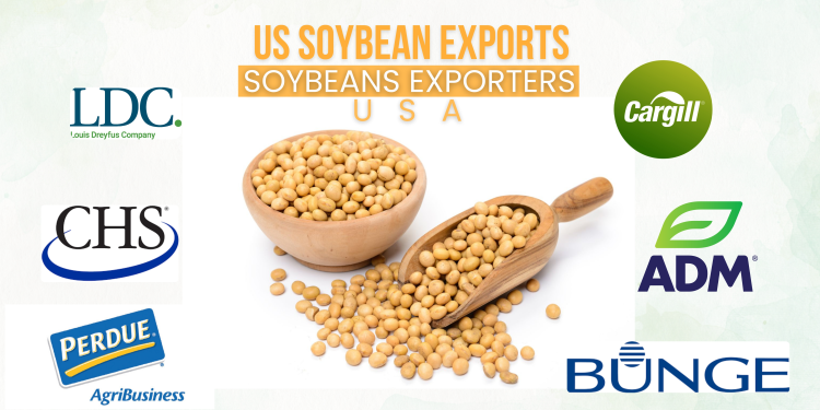 US Soybean Export Data, Top Soybeans Exporters in USA list