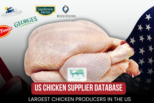 US Chicken Supplier Database: Largest Chicken Producers in the US