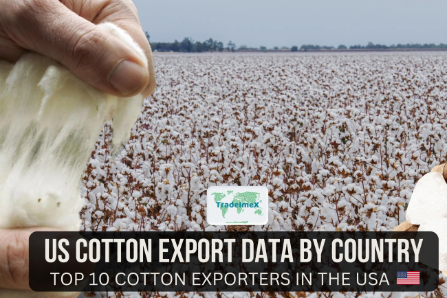 US Cotton Export Data by Country: Top 10 Cotton Exporters in the USA