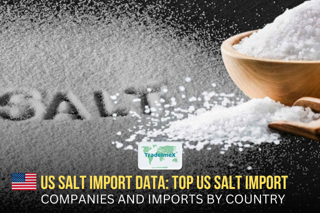 US Salt Import Data: Top US Salt Import Companies and Imports by Country