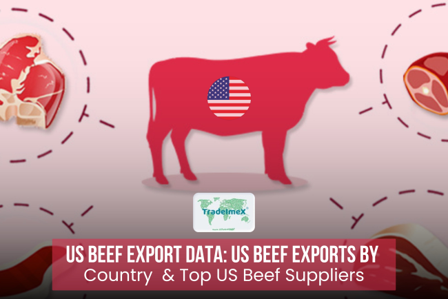 Top Beef Exporters & Suppliers in USA | US Beef Exports Data 2024-25