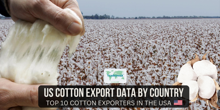 US Cotton Export Data by Country: Top 10 Cotton Exporters in the USA
