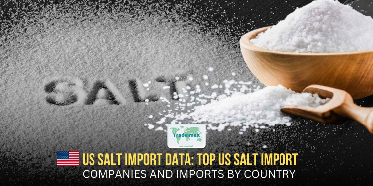 US Salt Import Data: Top US Salt Import Companies and Imports by Country