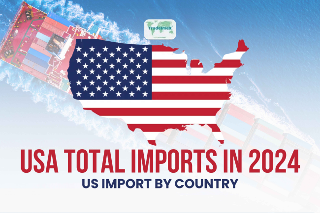 USA Total Imports in 2024: US Import by Country