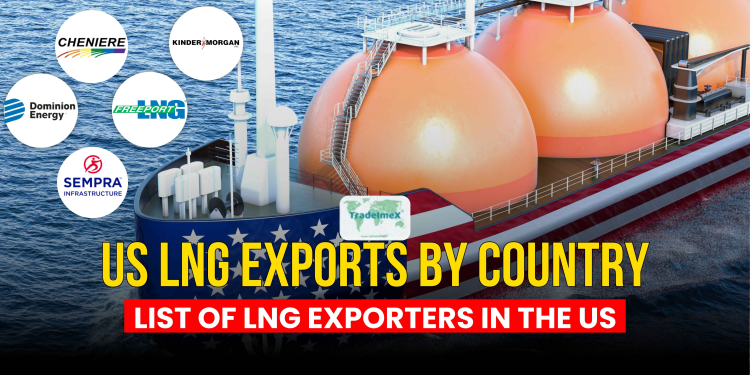 US LNG Exports by Country: List of LNG Exporters in the US