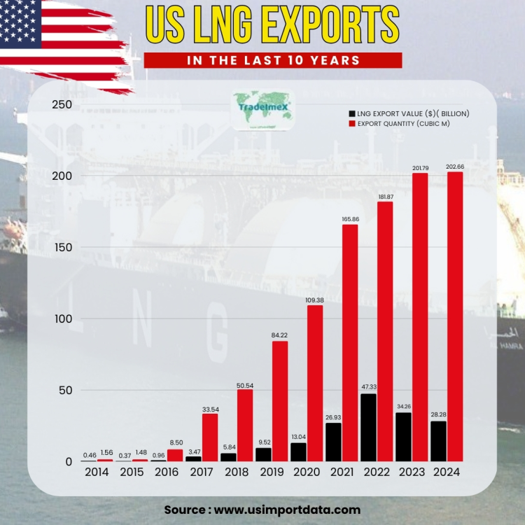 US LNG Exports in the Last 10 Years