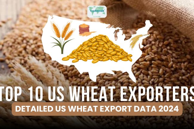 Top 10 US Wheat Exporters: Detailed US Wheat Export Data 2024