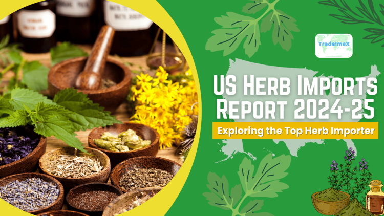 US Herb Imports Report 2024-25: Exploring the Top Herb Importer