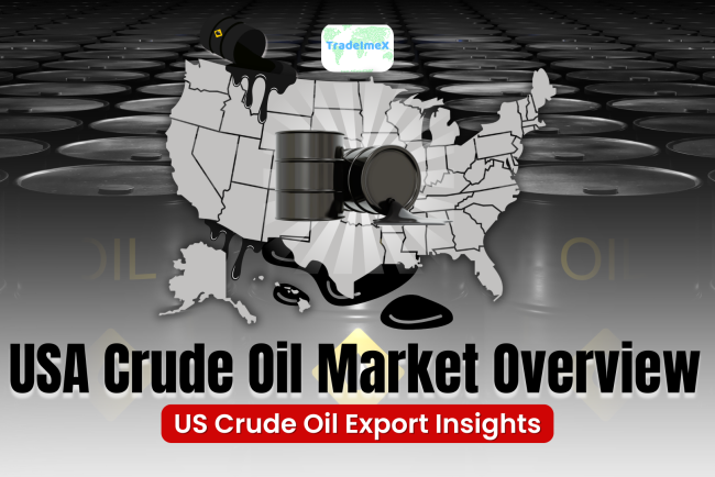 US Crude Oil Market 2024-25: US Crude Oil Exports & Growth