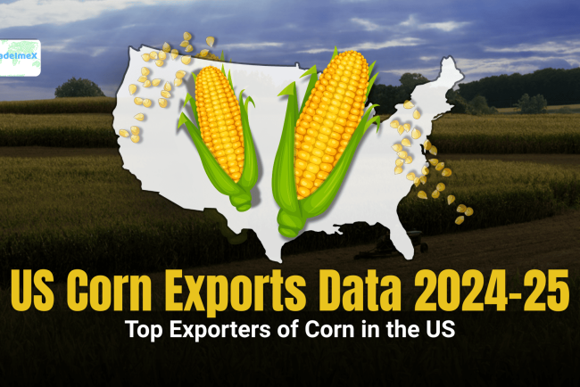 US Corn Exports Data 2024-25: Top Exporters of Corn in the US