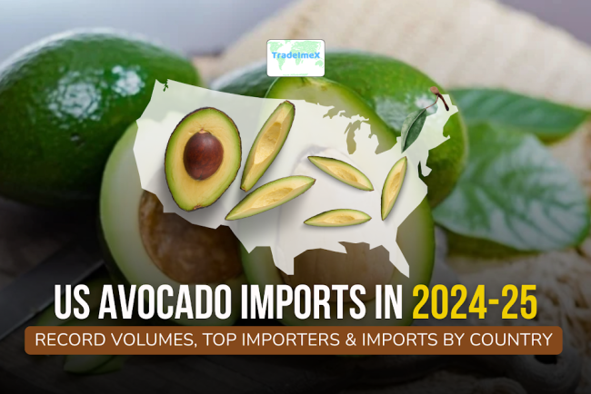US Avocado Imports by Country: Top Avocado Importers & Buyers in USA
