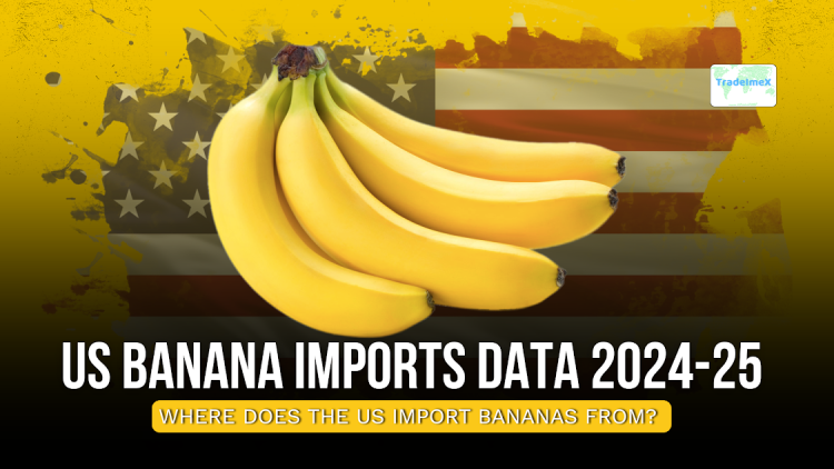 Where does the US Import Bananas From? US Banana Imports Data 2024-25