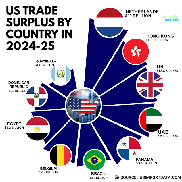 Top Countries having trade surplus with the US in 2024-25