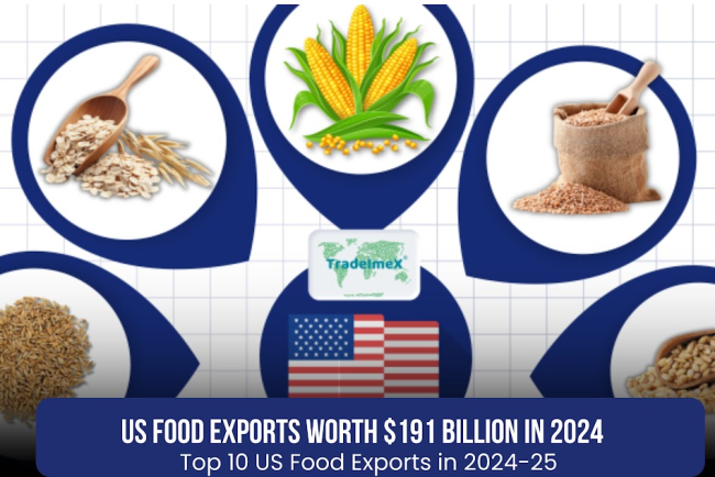 Top 10 Biggest US Food Exports in 2024-25