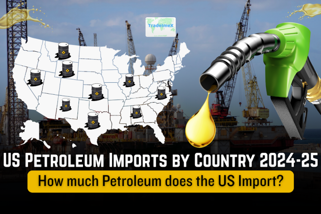 How much Oil does the US import? US Petroleum Imports by Country 2024-25