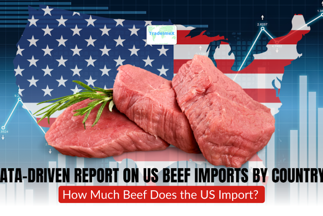 Data-Driven Report on US Beef Imports by Country in 2025: How Much Beef Does the US Import?