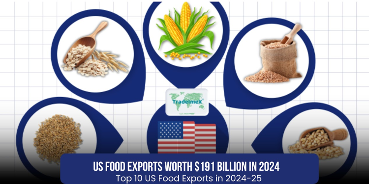 Top 10 Biggest US Food Exports in 2024-25