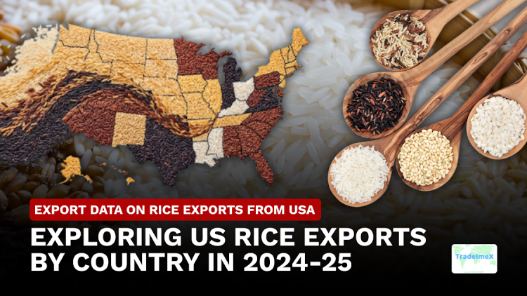 Rice Suppliers & Exporters in USA | US Rice Exports by Country
