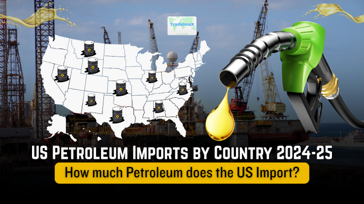 How much Oil does the US import? US Petroleum Imports by Country 2024-25