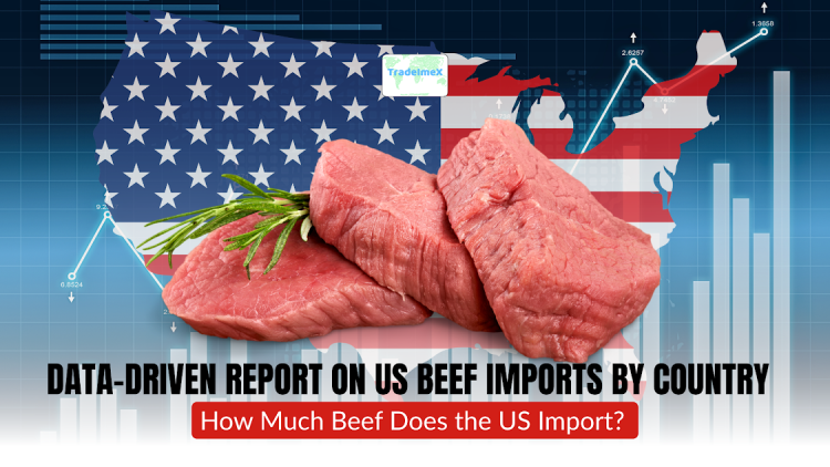 Data-Driven Report on US Beef Imports by Country in 2025: How Much Beef Does the US Import?
