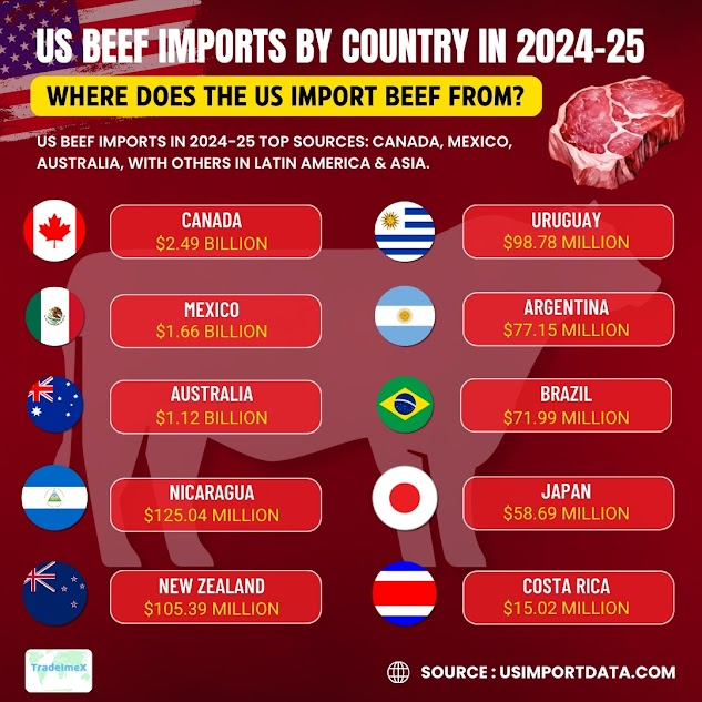 US Beef Imports by Country 2024-25