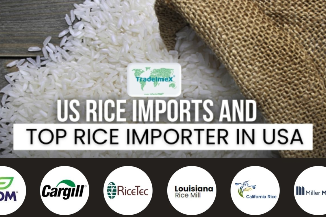 Top 10 Biggest Rice Importers in USA of 2024-25