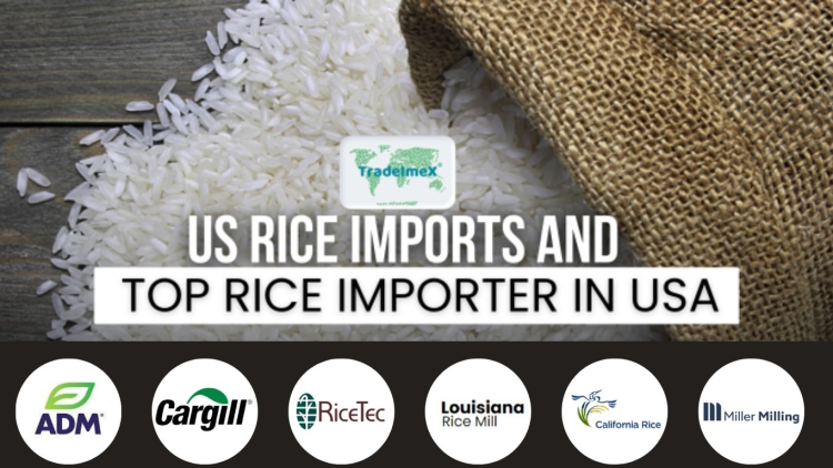 Top 10 Biggest Rice Importers in USA of 2024-25