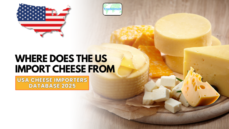 Where Does the US Import Cheese From? USA Cheese Importers Database 2025