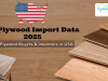 US Plywood Import Data 2025: Top Plywood Buyers & Importers in USA