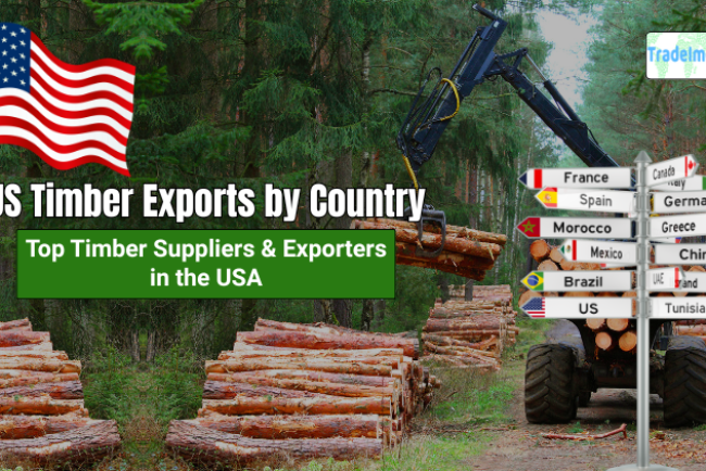 US Timber Exports by Country: Top Timber Suppliers & Exporters in the USA