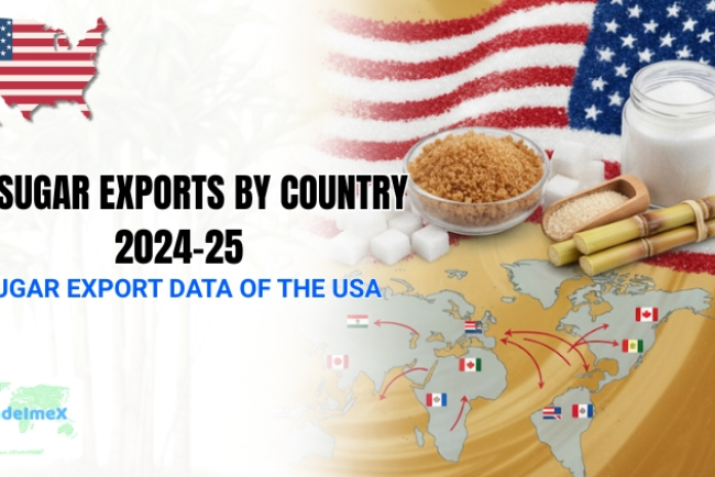 US Sugar Exports by Country 2024-25: Sugar Export Data of the USA