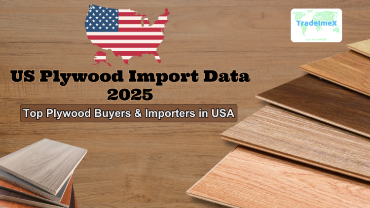 US Plywood Import Data 2025: Top Plywood Buyers & Importers in USA