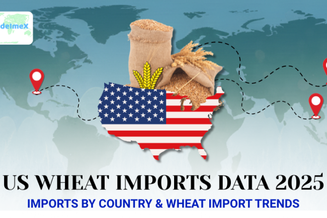 US Wheat Imports Data 2025: Imports by Country & Wheat Import Trends