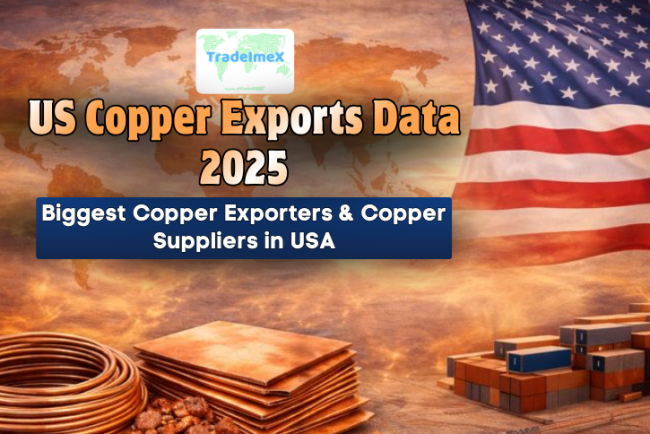 US Copper Exports Data 2025: Biggest Copper Exporters & Copper Suppliers in USA