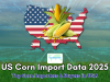 US Corn Import Data 2025: Top Corn Importers & Buyers in USA