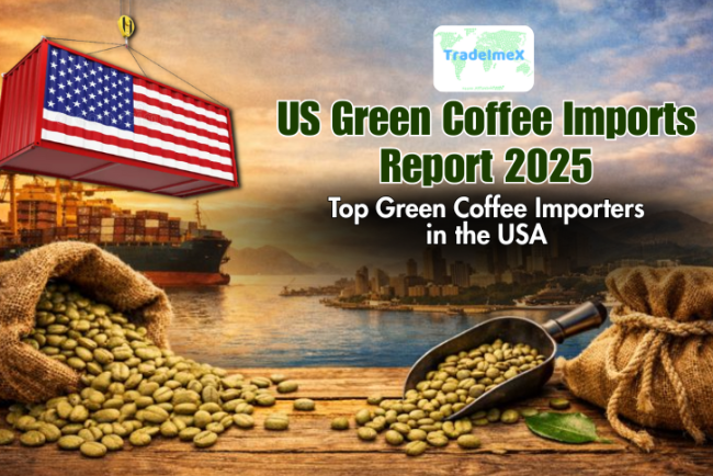 US Green Coffee Imports Report 2025: Top Green Coffee Importers in the USA
