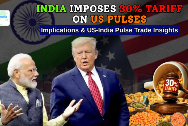 India Imposes 30% Tariff on US Pulses: Implications & US-India Pulse Trade Insights 2025
