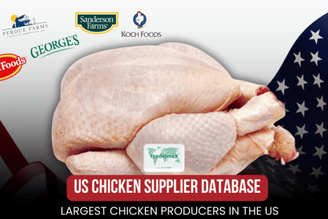 US Chicken Supplier Database: Largest Chicken Producers in the US