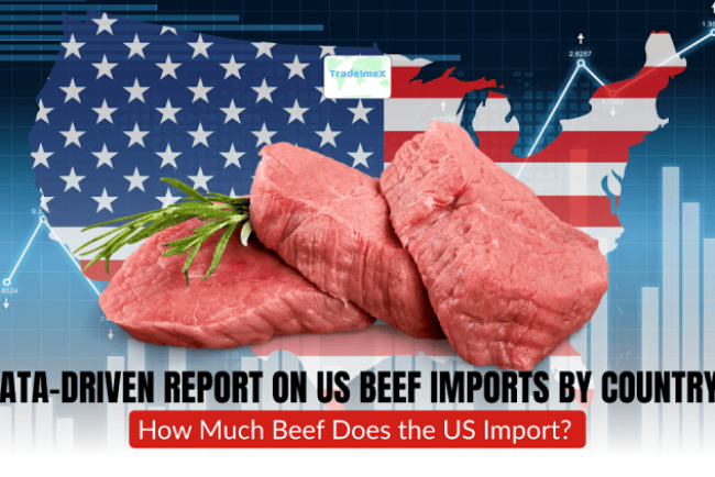 Data-Driven Report on US Beef Imports by Country in 2025: How Much Beef Does the US Import?