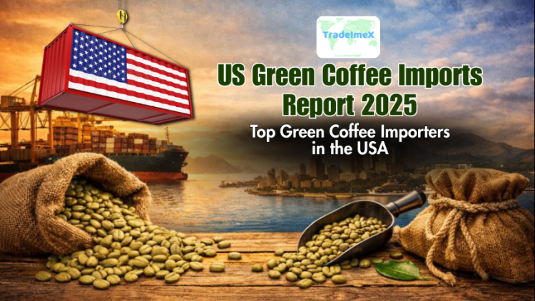 US Green Coffee Imports Report 2025: Top Green Coffee Importers in the USA