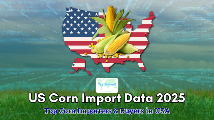 US Corn Import Data 2025: Top Corn Importers & Buyers in USA