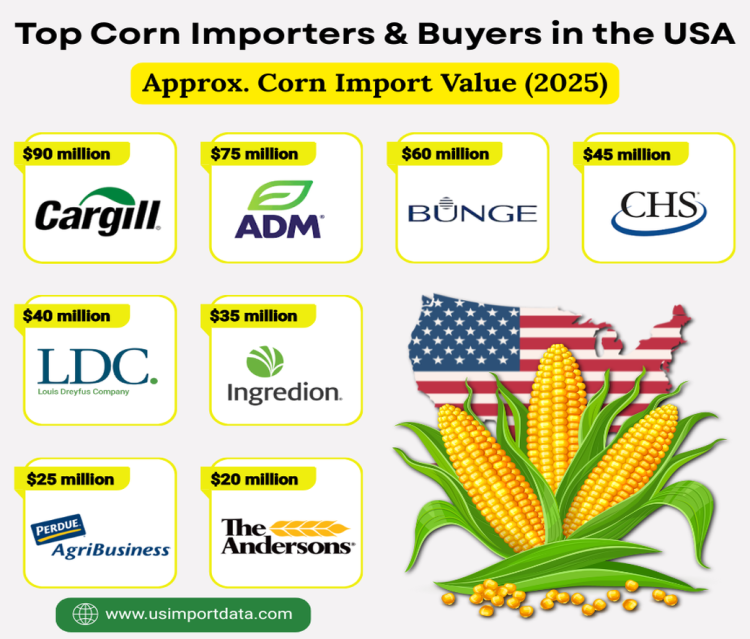 Corn Importers & Buyers in the USA