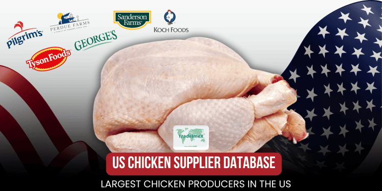 US Chicken Supplier Database: Largest Chicken Producers in the US