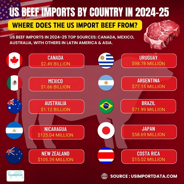 US Beef Imports by Country: Where Does the US Import Beef From?