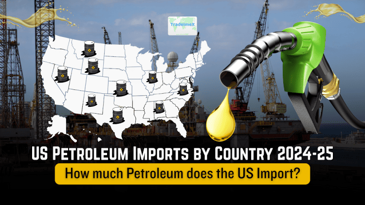 How much Oil does the US import? US Petroleum Imports by Country 2024-25