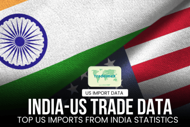 What Does the US Import from India? | India-US Trade Statistics & Data