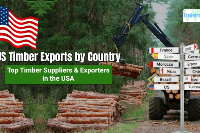 US Timber Exports by Country: Top Timber Suppliers & Exporters in the USA