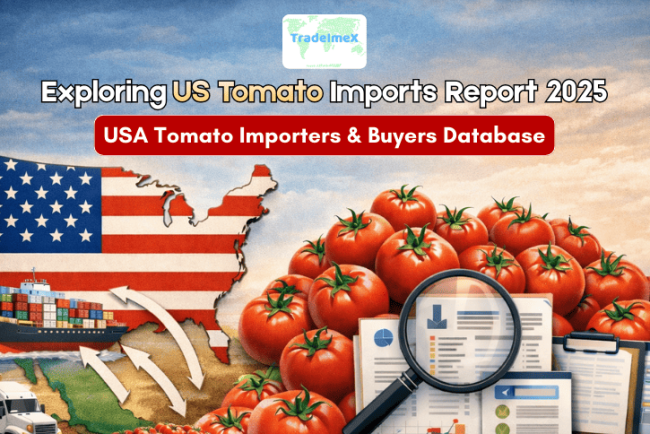 Exploring US Tomato Imports Report 2025: USA Tomato Importers & Buyers Database